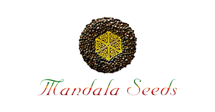 5 лучших сортов от mandala seeds