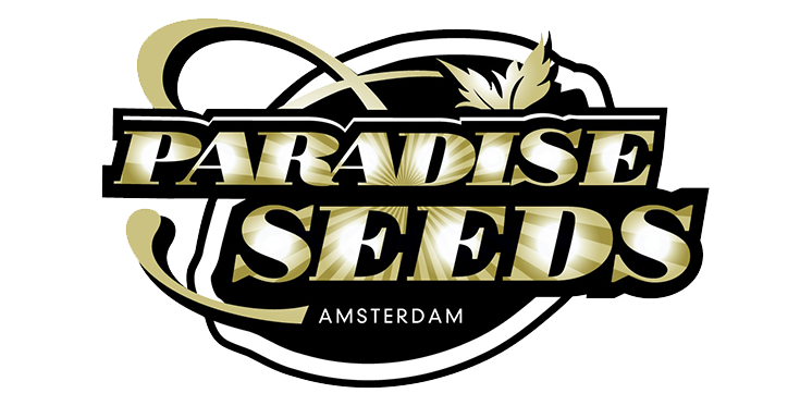 5 лучших сортов от Paradise seeds