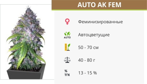 Auto AK от Grass-O-Matic