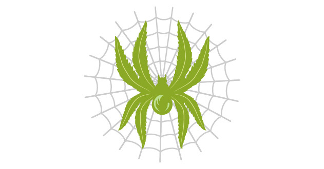 white widow каннабис Какой сорт конопли White Widow лучше