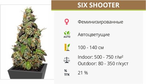 Six Shooter от FastBuds