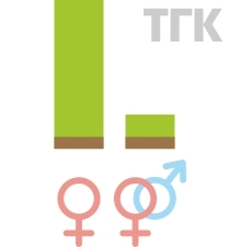 У фемок ТГК больше чем у регуляров Количество ТГК в семенах