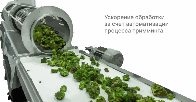 Машинка для тримминга: ускорение обработки соцветий Типы триммеров: горизонтальные и барабанные