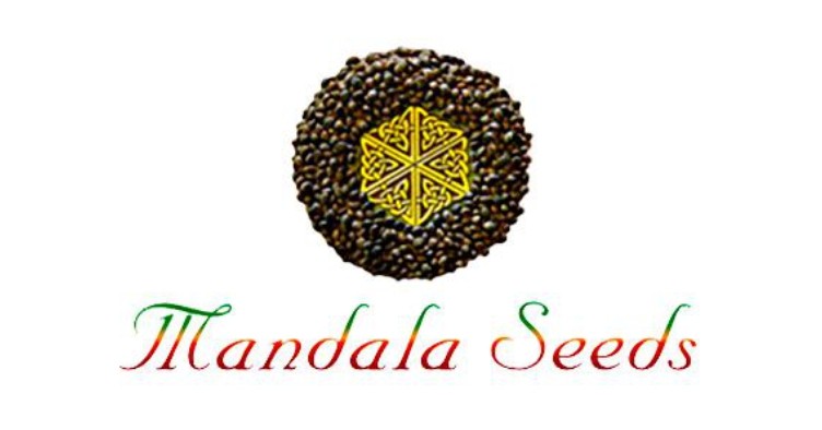Mandala Seeds