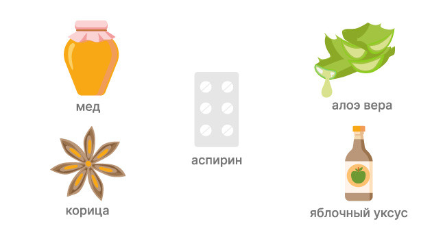 Фитогормоны как стимуляторы корнеобразования