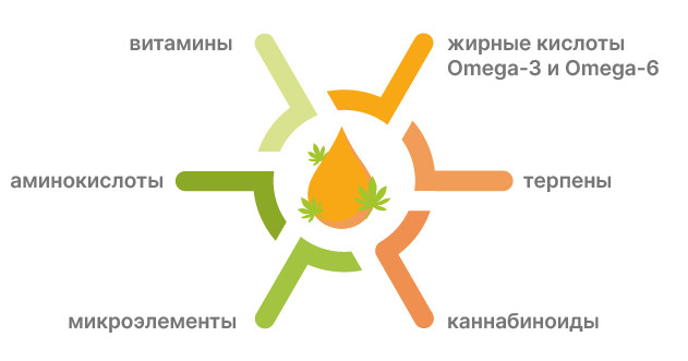 Состав марихуаны: жирные кислоты, аминокислоты, витамины
