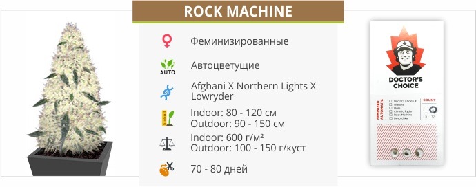 Rock Machine auto (Doctor’s Choise)