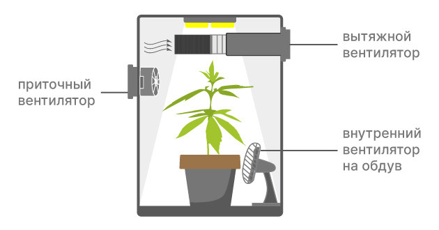 Обеспечение эффективной вентиляции в гроубоксе Обеспечение надлежащей вентиляции в ящике для выращивания