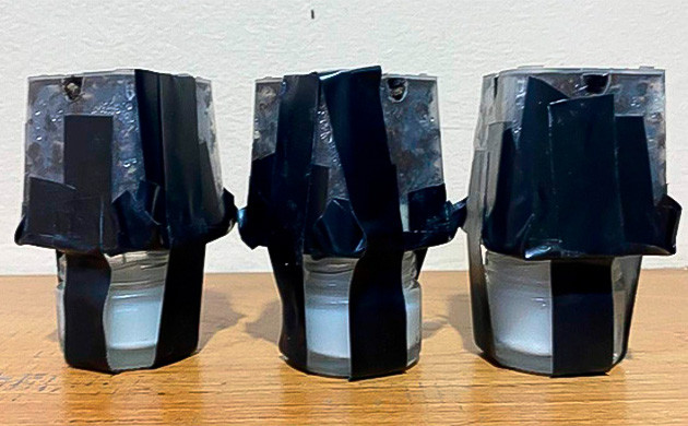 3 ростка конопли