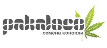 Pakaloco магазин семян Pakaloco магазин семян