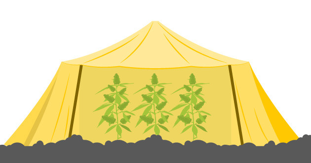 Создание затеняющих решений для каннабиса в жарком климате