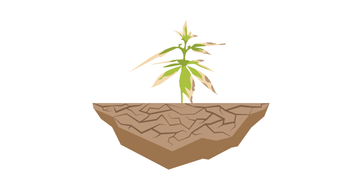 Теплопроводность почвы: важность для здоровья корней