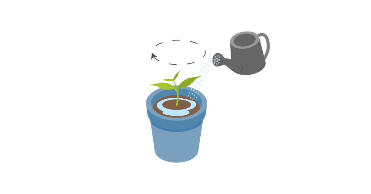 Полив конопли Полив рассады конопли