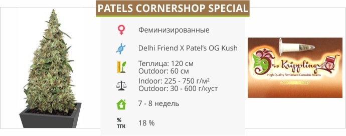 Patels Cornershop Special Patels Cornershop Special