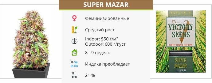 Super Mazar