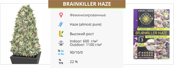 Brainkiller Haze