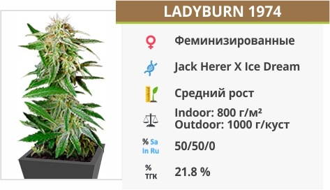 Ladyburn 1974 Ladyburn 1974