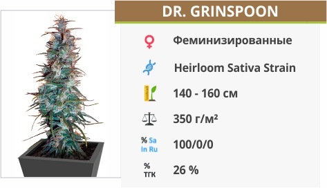 Dr. Grinspoon Dr. Grinspoon
