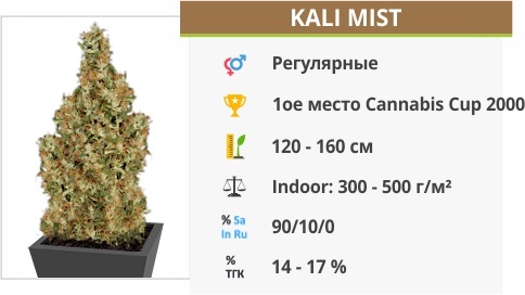 Kali Mist Kali Mist