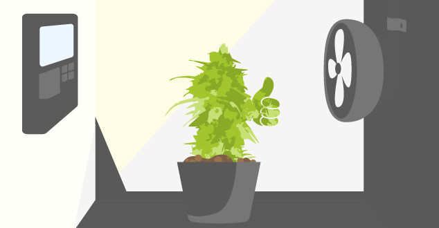 Управление факторами микроклимата в гроубоксе Управление микроклиматом в гроубоксе