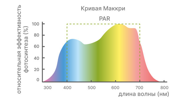 Традиционное исследование освещения марихуаны Исследования обычного освещения каннабиса
