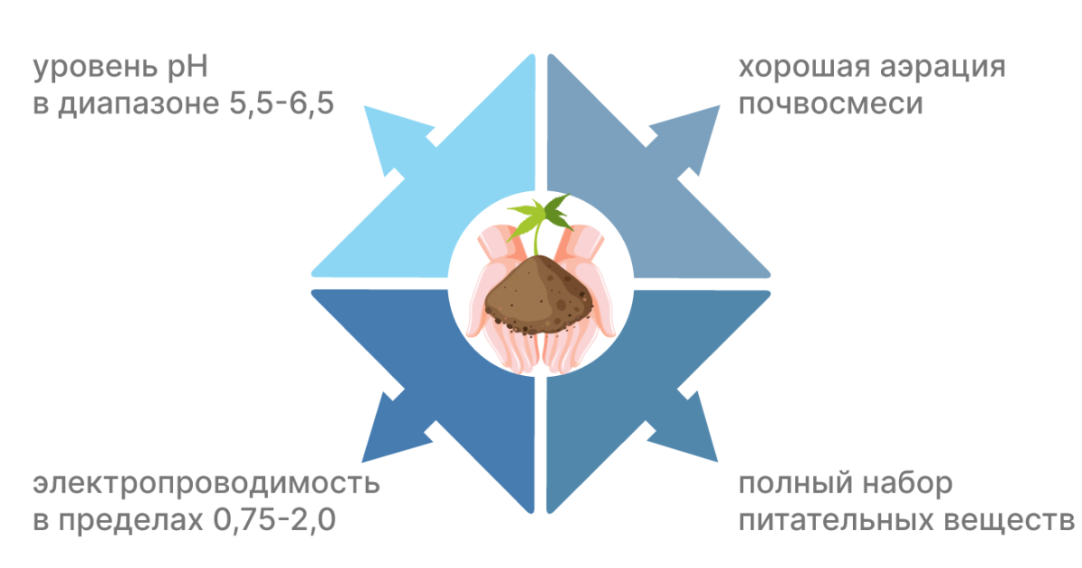 Требования к грунту для конопли: четыре основных
