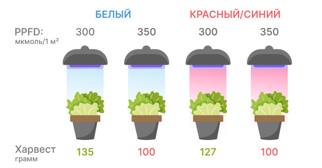 Современные исследования по освещению для выращивания каннабиса Последние достижения в исследованиях освещения каннабиса