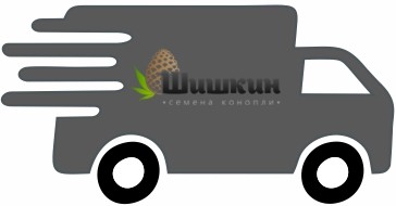 У Шишкина новый адрес