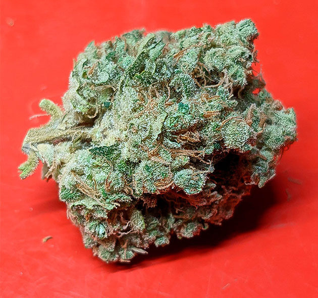 DWC: как я добился лучшего урожая с помощью гидропоники Гидропоника и DWC: быстрый рост и ароматный урожай