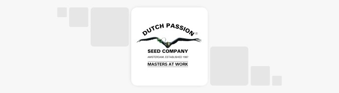 Новинки от Dutch Passion