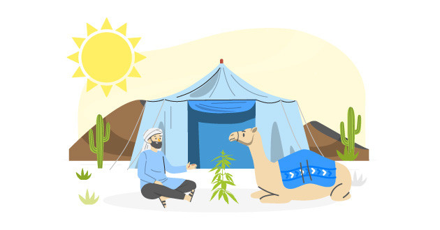 Сорта конопли для жаркого климата