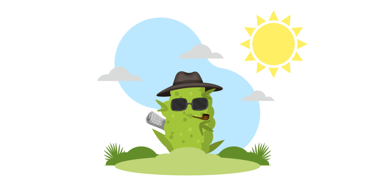 Скрытое выращивание в аутдоре