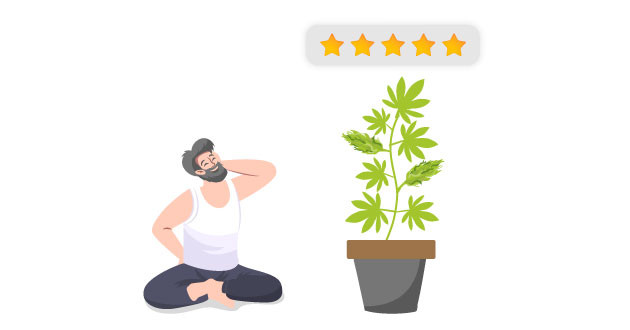 Сатива для начинающих гроверов Сатива для новичков