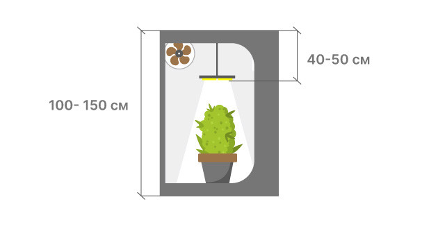 Когда использовать методы обучения автоцветущих растений Ситуации, требующие обучения автоцветущим растениям