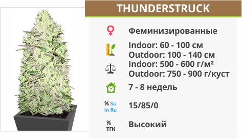 Thunderstruck Thunderstruck