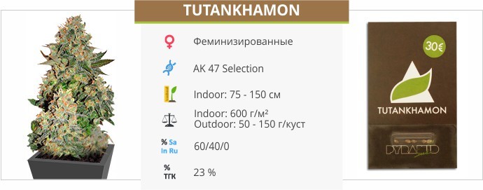 Tutankhamon