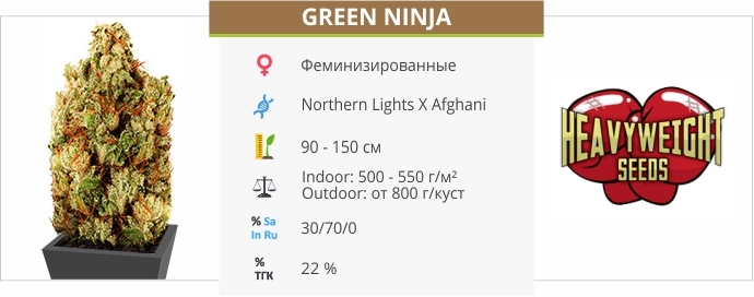 описание сорта Green Ninja