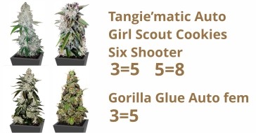 Акция 3+2 и 5+3