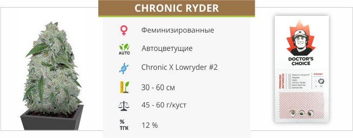 Chronic Ryder auto (Doctor’s Choise)