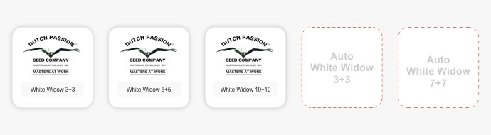 Акция AutoWhite Widow 3+3 и 7+7 от Dutch Passion закончились