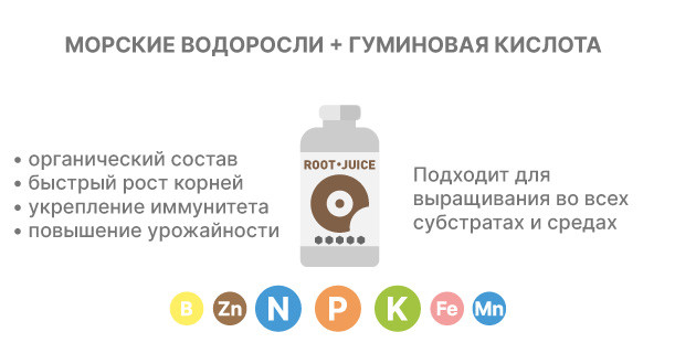 Применение Root Juice и питательных комплексов для черенкования конопли