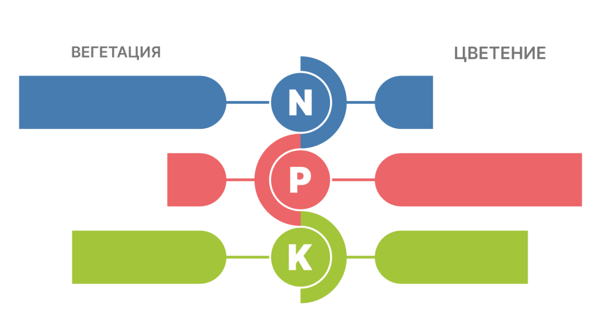 Правило опытных гроверов: постепенное увеличение дозы