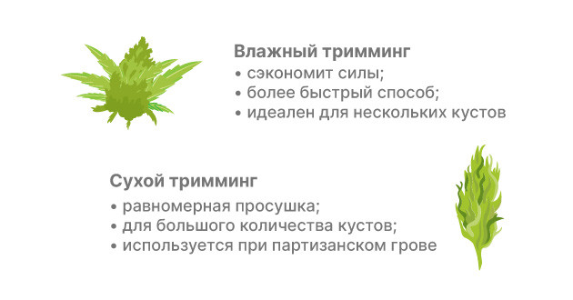 Сравнение сухого и влажного тримминга Выбор метода тримминга: зависимость от условий и предпочтений