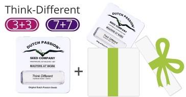 акция от dutch-passion