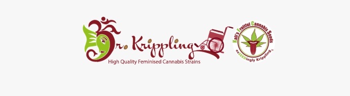 Пополнение: Dr Krippling Seeds KFC seeds в Шишкине Пополнение: Dr Krippling Seeds KFC seeds в Шишкине