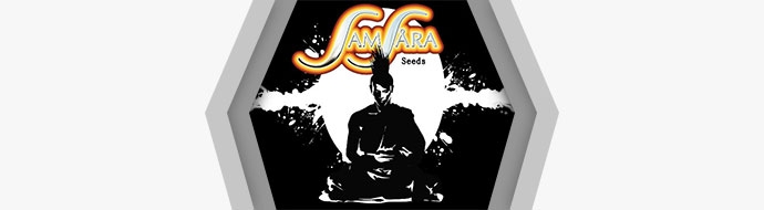 Пополнение сидбанком Samsara Seeds