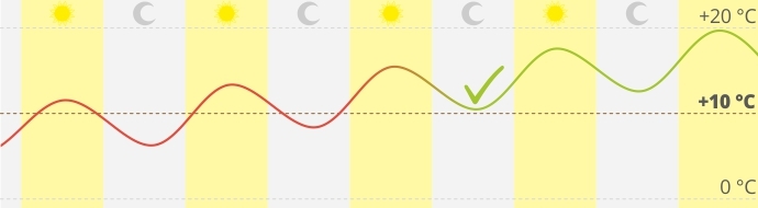 время для посадки автоцветов на улице