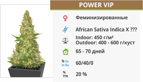 Power Vip Power Vip