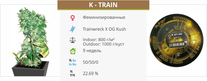 K – Train
