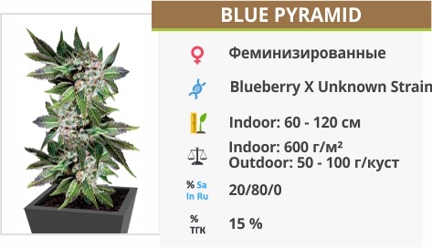 Blue Pyramid